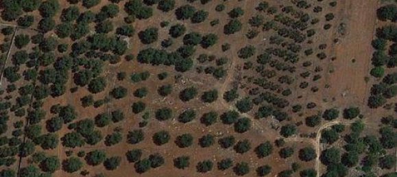 30000m² Land in Ugento, Italy No. 144094 7