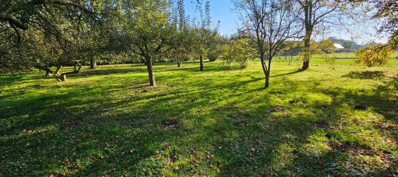 6 Schlafzimmer Haus in Guise, France, Nr. 218342 3