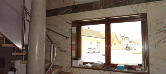 2063m² Commercial property in Parndorf, Austria No. 223320 6