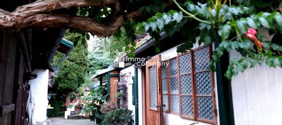 3 rooms House in Scheiblingkirchen-Thernberg, Austria No. 217595 8