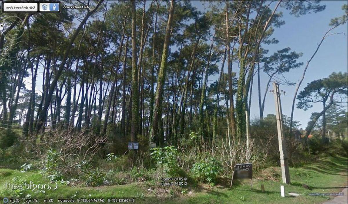  Land in Maldonado, Uruguay No. 16039
