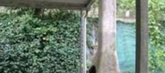 3غرفة شقة في Montecalvo in Foglia, Italy رقم 87964 15