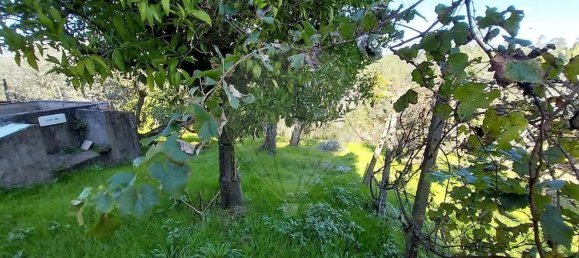 2 غرف نوم منزل في Serta, Portugal رقم 37547 19