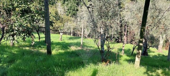 2 غرف نوم منزل في Serta, Portugal رقم 37547 10