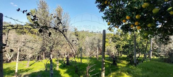 2 غرف نوم منزل في Serta, Portugal رقم 37547 16