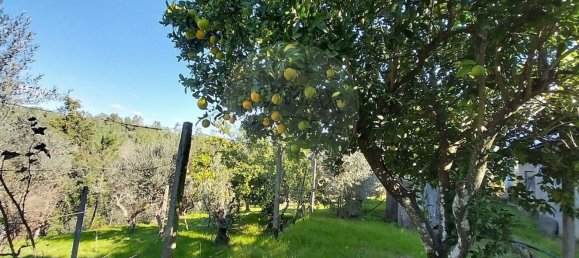 2 غرف نوم منزل في Serta, Portugal رقم 37547 17