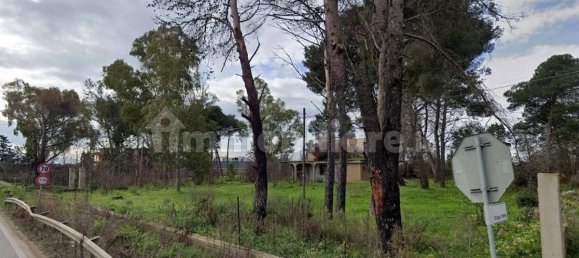 2 غرف نوم فيلا في Brindisi, Italy رقم 342159 6