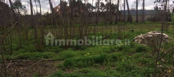 2 غرف نوم فيلا في Brindisi, Italy رقم 342159 12