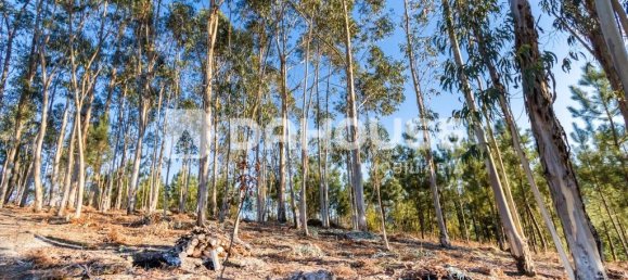 Grundstück in Rossas, Portugal 12130m², Nr. 61025 2