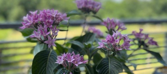 3 rooms Apartment in Segeberg, Germany No. 317132 29