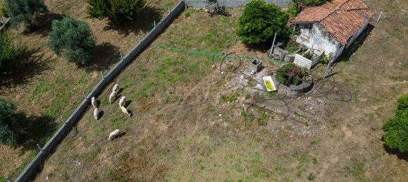 Casa de 2 dormitorios en Ferreira do Zezere, Portugal No. 158710 15