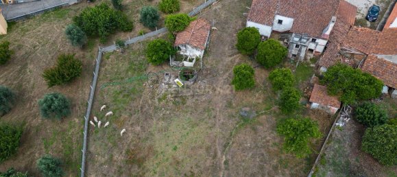 Casa de 2 dormitorios en Ferreira do Zezere, Portugal No. 158710 16
