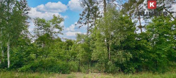 Terrain à Potsdam-Mittelmark, Germany No. 294657 3