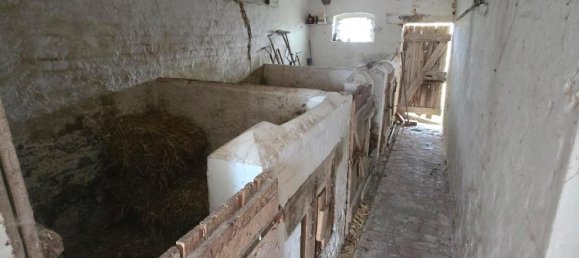 4 bedrooms House in Kyffhauserkreis, Germany No. 277438 18