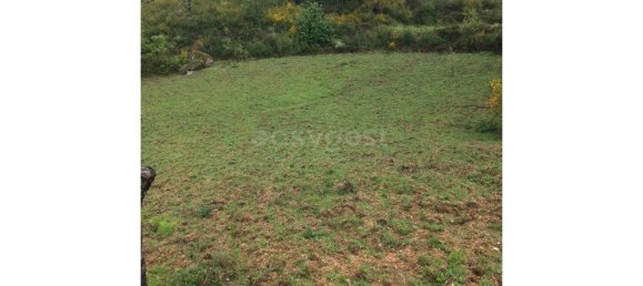 Дом с 9 спальнями в Селорику да Бейра, Португалия № 236367 9