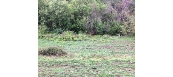 Дом с 9 спальнями в Селорику да Бейра, Португалия № 236367 11