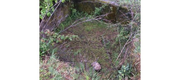 Дом с 9 спальнями в Селорику да Бейра, Португалия № 236367 8