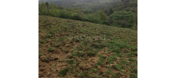 Дом с 9 спальнями в Селорику да Бейра, Португалия № 236367 10