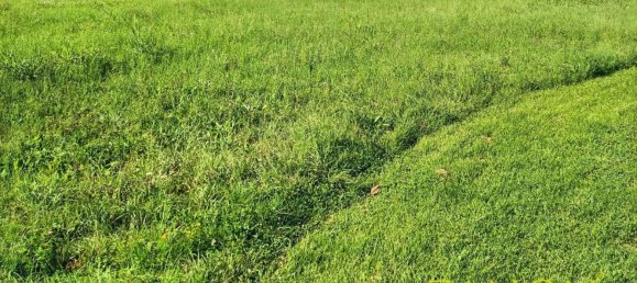 Terreno en Gorizia, Italy No. 344931 2