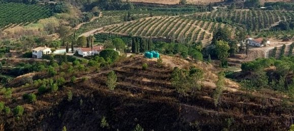 5 bedrooms Castles in Silves, Portugal No. 96320 36