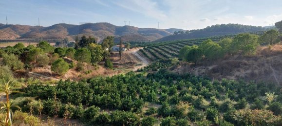 5 bedrooms Castles in Silves, Portugal No. 96320 31