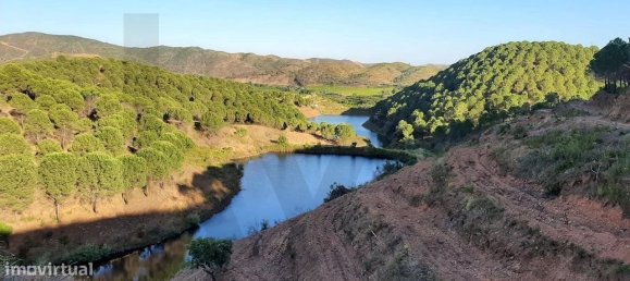 5 bedrooms Castles in Silves, Portugal No. 96320 5