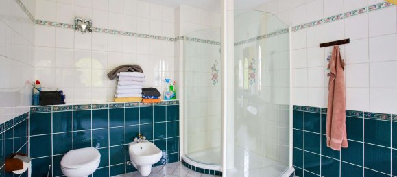  مستودع في Mayen-Koblenz, Germany 919متر مربع رقم 313376 16