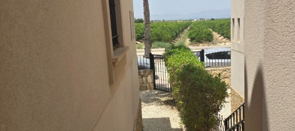 Villa de 3 dormitorios en Algorfa, Spain No. 178199 25