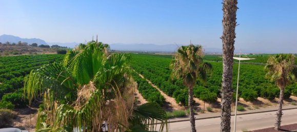 Villa de 3 dormitorios en Algorfa, Spain No. 178199 21