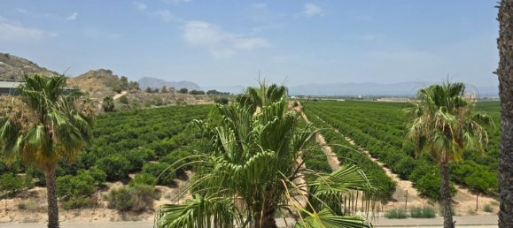 Villa de 3 dormitorios en Algorfa, Spain No. 178199 18