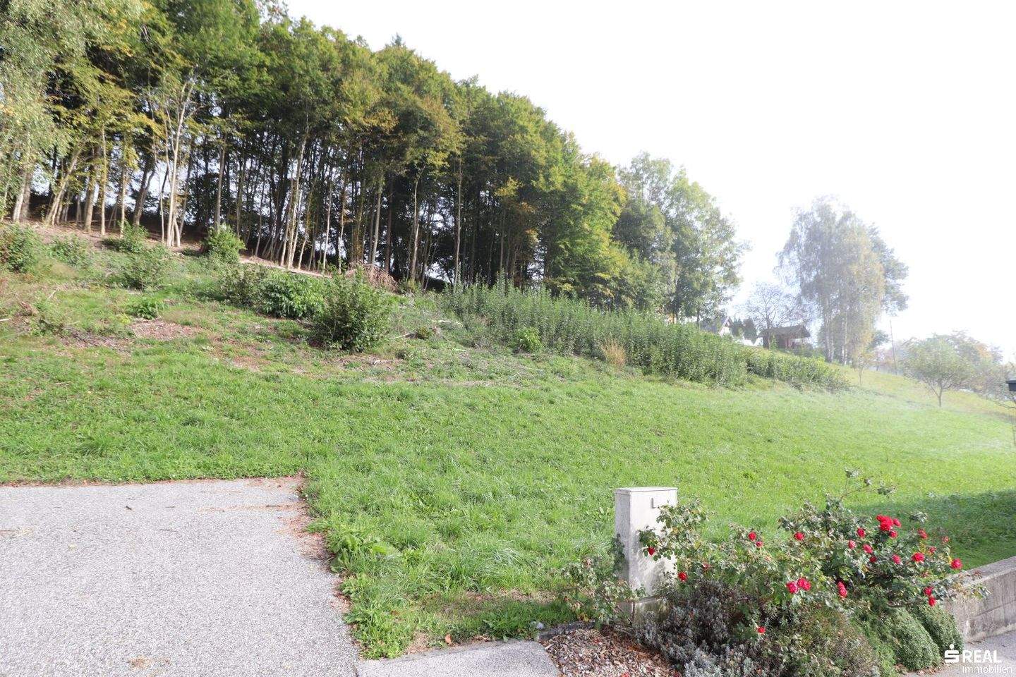 Земельный участок в Лудмансдорф, Австрия № 159881