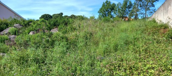 Земельный участок 806м² в Томар, Португалия № 79586 6