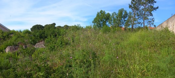 Земельный участок 806м² в Томар, Португалия № 79586 8