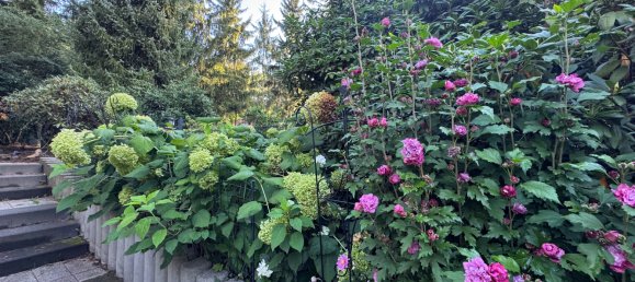 6-Zimmer Haus in Oberhavel, Germany, Nr. 290022 5