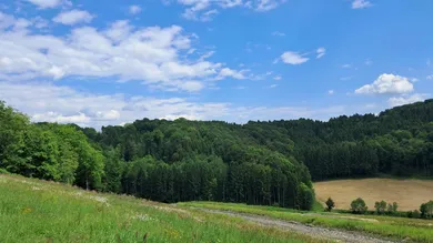 Grundstück in Kirchbach-Zerlach, Austria, Nr. 234338