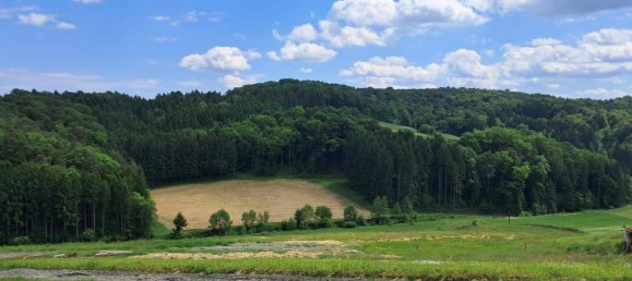 Grundstück in Kirchbach-Zerlach, Austria, Nr. 234338 3