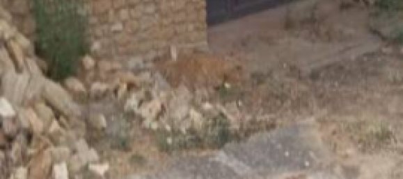 Вилла с 3 спальнями в Кальтаджироне, Италия № 330042 14