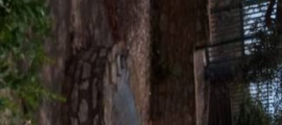 Вилла с 3 спальнями в Кальтаджироне, Италия № 330042 15