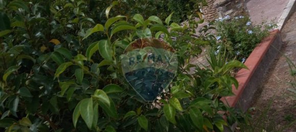 Вилла с 3 спальнями в Кальтаджироне, Италия № 330042 23