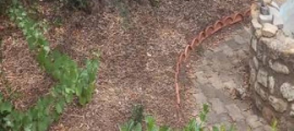 Вилла с 3 спальнями в Кальтаджироне, Италия № 330042 24