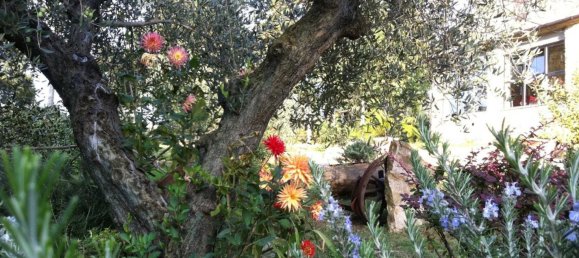 6 chambres Maison à Passignano sul Trasimeno, Italy No. 53687 28