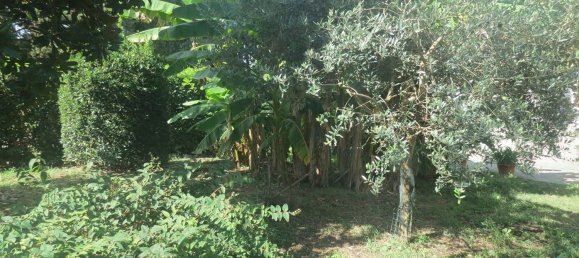 9 Schlafzimmer Haus in San Salvatore Monferrato, Italy, Nr. 327080 6