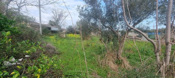 Grundstück in Ortona, Italy 2200m², Nr. 9772 4