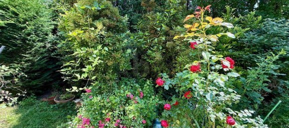 4-Zimmer Wohnung in Hinterbrühl, Austria, Nr. 243846 4