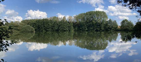 Terrain à Dammartin-sur-Meuse, France No. 254337 2