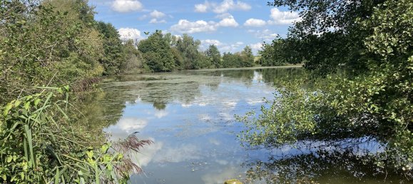 Terrain à Dammartin-sur-Meuse, France No. 254337 5