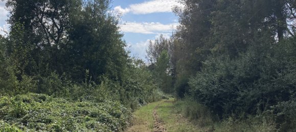 Terrain à Dammartin-sur-Meuse, France No. 254337 6