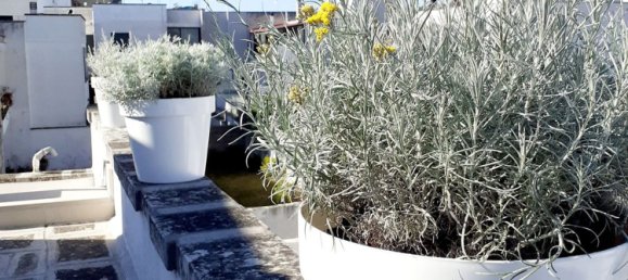 Casa T3 em Martano, Italy N.º 339815 32