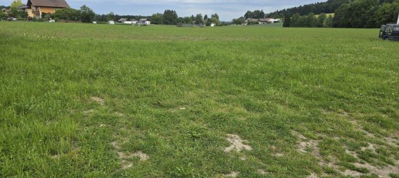  Land in Schalchen, Austria No. 133050 2