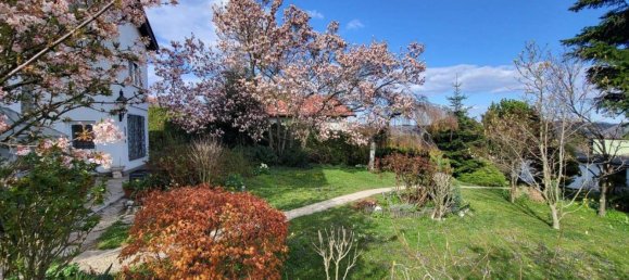 4-salle Maison à Breitenfurt bei Wien, Austria No. 244368 13